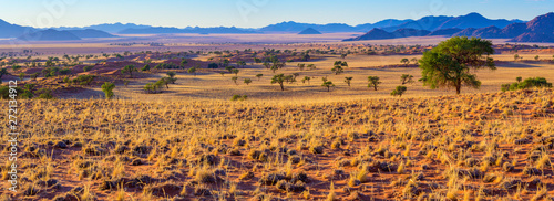 malerische Landschaft am Rande der Namib, Panorama, NamibRand-Naturreservat, Namibia