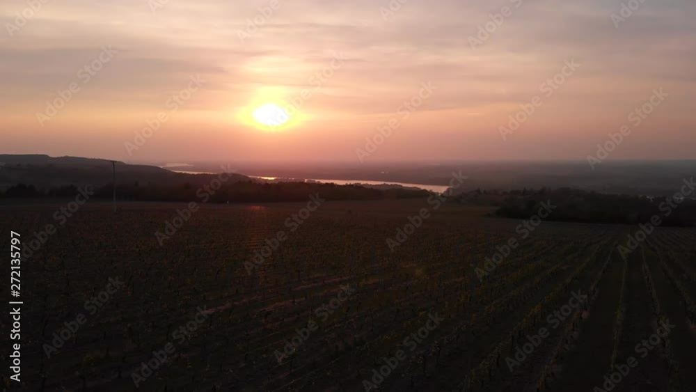 Descending Into A Dark Vineyard While Sun Sets Over The Danube River In Neszmely, Hungary. Descending Into A Dark Vineyard While Sun Sets Over The Danube River In Neszmely, Hungary.