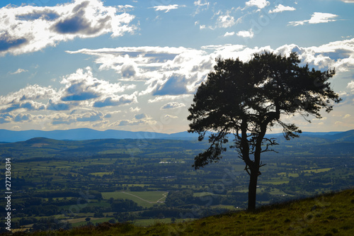 A single tree stands isolated against the backdrop of the Welsh Landscape in North Wales near Snowdonia photo