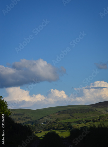 A single tree stands isolated against the backdrop of the Welsh Landscape in North Wales near Snowdonia photo