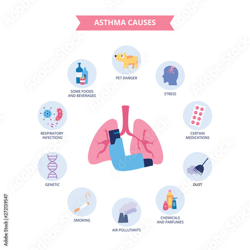 Infographics of bronchial asthma causes flat cartoon style photo