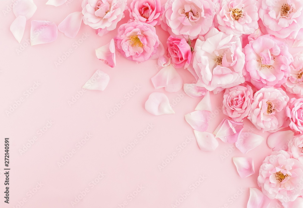 Flowers composition background. beautiful pale pink roses on pale pink    background.Top view.Copy space