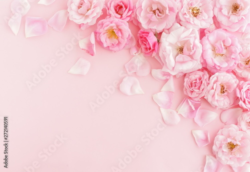 Flowers composition background. beautiful pale pink roses on pale pink    background.Top view.Copy space