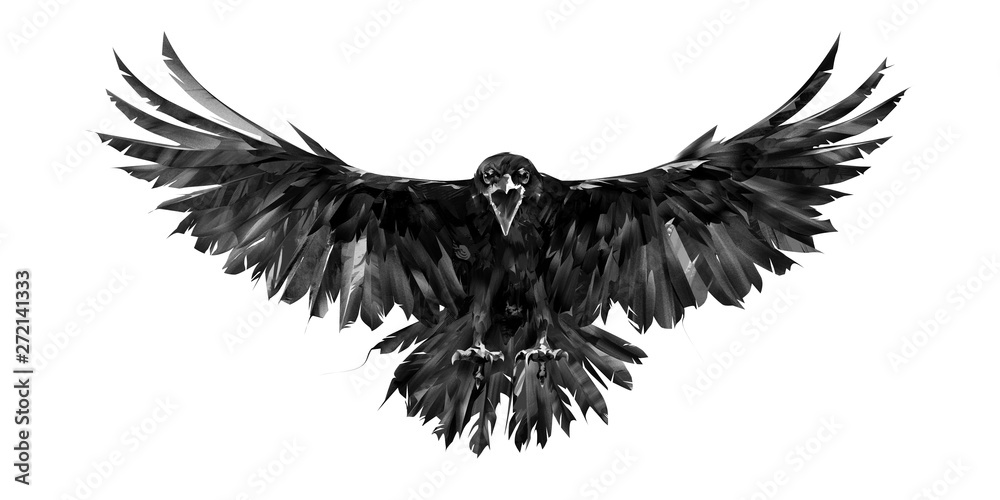 Obraz painted portrait of a raven on a white background in front with a wingspan
