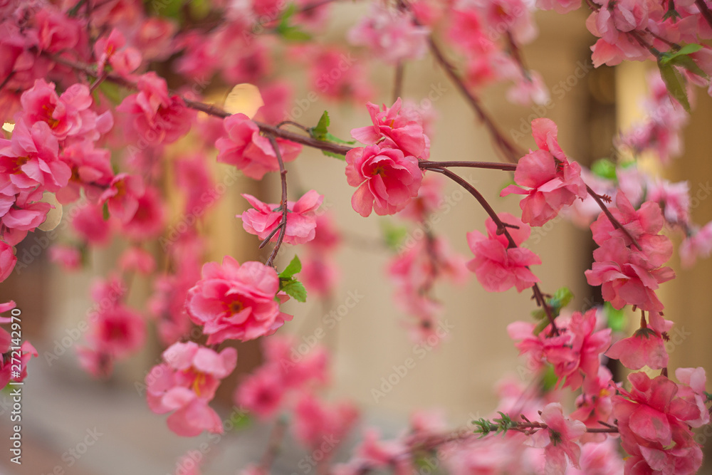 Beautiful blurred floral background of flowers Beautiful blurred floral background of flowers