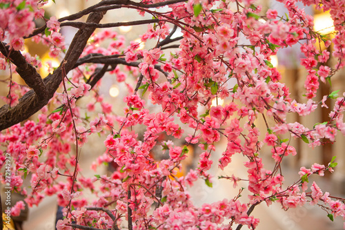 Beautiful blurred floral background of flowers