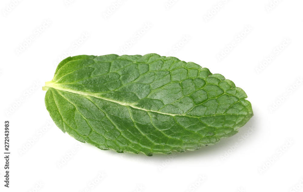 Leaf of fresh mint isolated on white Leaf of fresh mint isolated on white