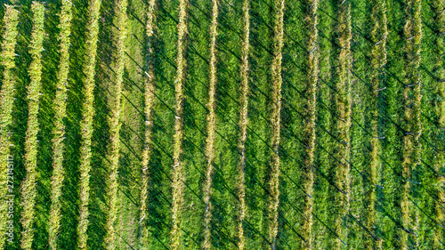 Drone aerial view of a country field