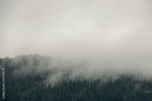 Misty Mountain © rontech2000