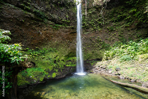  Emerlad Pool and Waterfall Views around the caribbean island of Dominica West indies photo