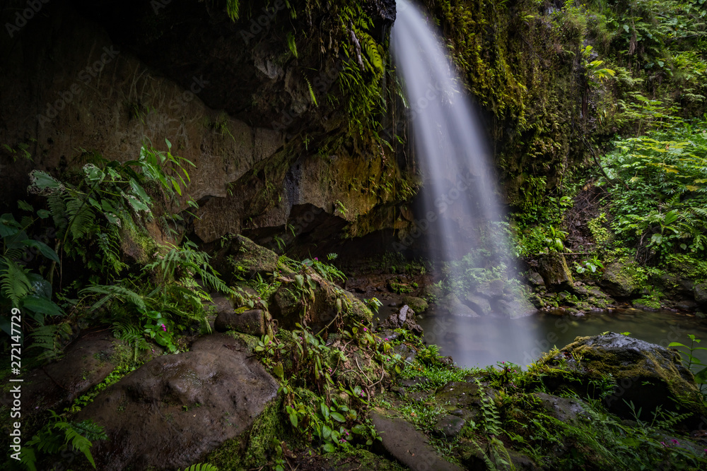  Emerlad Pool and Waterfall Views around the caribbean island of Dominica West indies