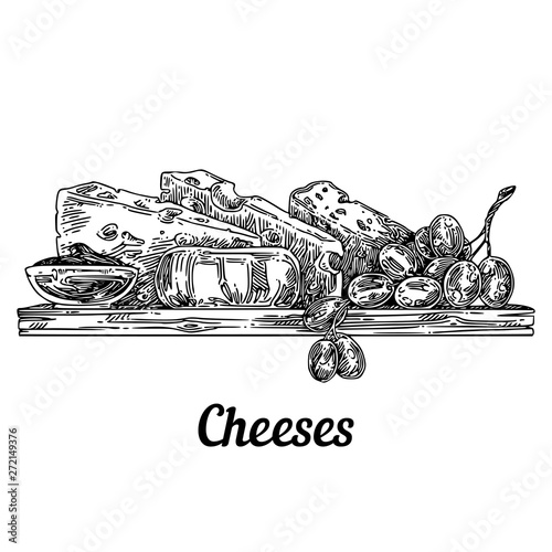 Set of cheese on a cutting board and grapes. Sketch. Engraving style. Vector illustration.