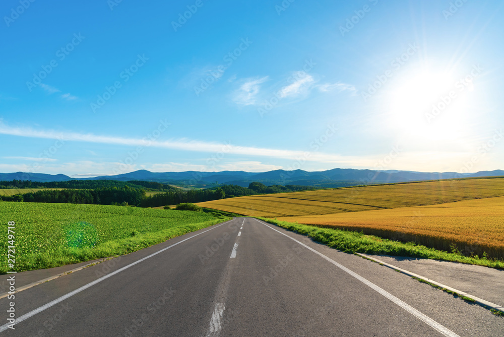 Speed highway asphalt road among the fields in bright sunrise