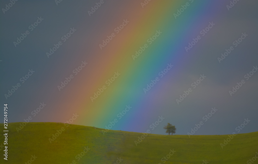 Naklejka premium Hill ridge with lone tree and rainbow