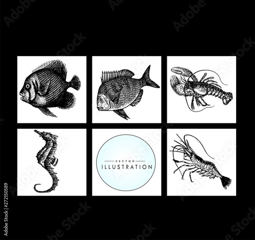 set underwater world crab, fish, lobster vector set of detailed sketches. 