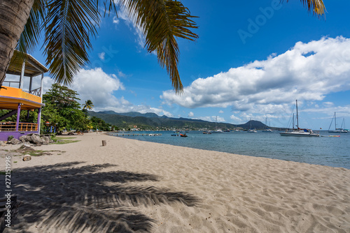 Purple Turtle Beach Views around the caribbean island of Dominica West indies