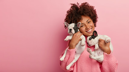 Happy female pet lover poses with two pedigree dogs, tilts head, has curly hair, wears pink sweater, isolated over rosy background, free space for your advertising. Friendship, people, animals concept