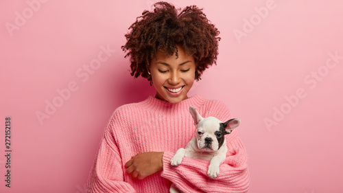 Little black and white dog with owner play together and have fun. Afro girl has curly hair poses with small pet against pink background, going to groomer. Funny bulldog has black nose and ear