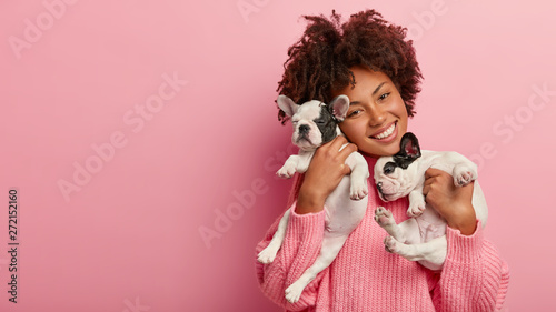 Happy female pet lover poses with two pedigree dogs, tilts head, has curly hair, wears pink sweater, isolated over rosy background, free space for your advertising. Friendship, people, animals concept