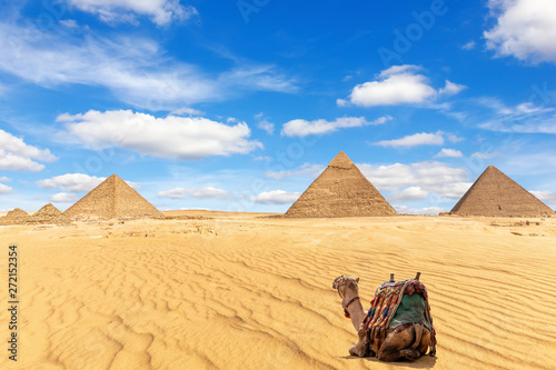 The Pyramids of Giza and a camel in the sand  Egypt