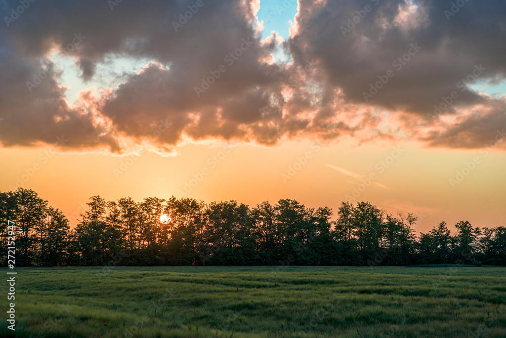Fototapeta premium Wheat fields with beautiful clouds on the horizon