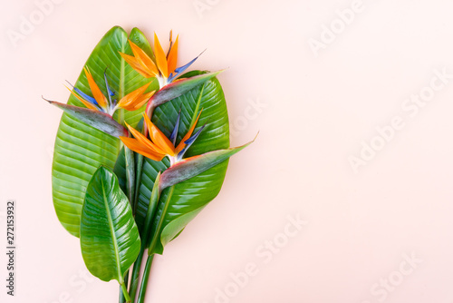Summer flat lay scenery with strelizia flowers photo