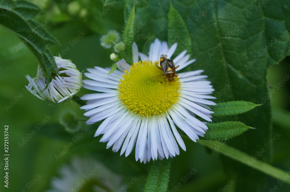 Obraz premium Путешествие