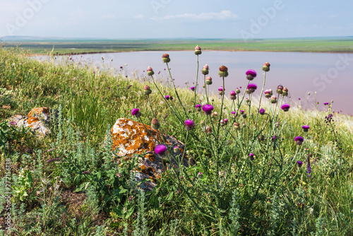 Crimea nature reserve - the road to traveln photo