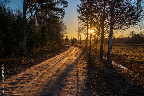 simple countryside dirt road in spring © Martins Vanags