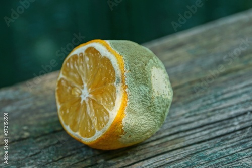 one piece of rotten lemon lies on a gray wooden table photo