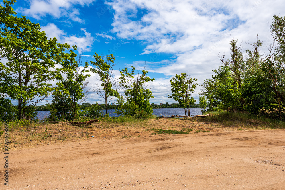 Fototapeta premium spring by the lake with green foliage grass in meadow and blue water