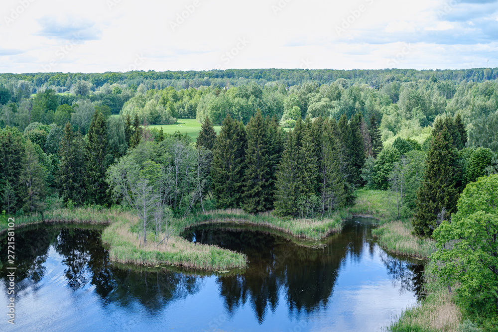 Obraz premium spring by the lake with green foliage grass in meadow and blue water