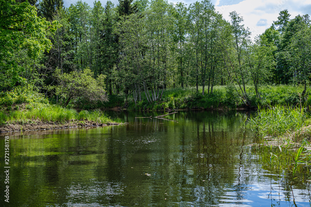 river in summer green shores with tree reflections in water