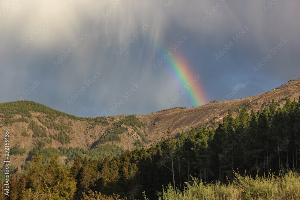 rainbow over the forest, the phenomenon of nature, rocks and trees, bright colors on the rainbow, rain and cloudy sky