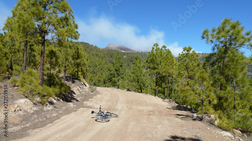 Stunning clouds and mountain forest landscape. Pines along country road with bycicle of photografer. Bright blue sky and beautiful white clouds. Tenerife, Canary islands