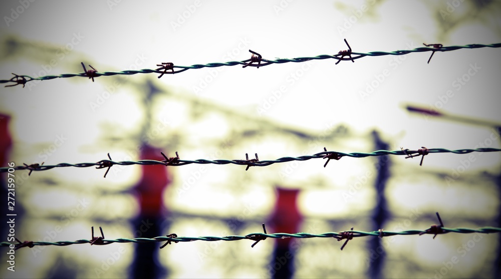barbed wire and out of focus background barbed wire and out of focus background