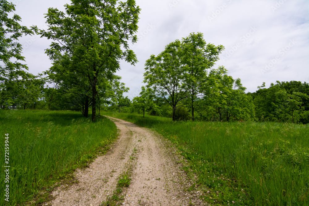 Dirt road through the countryside Dirt road through the countryside