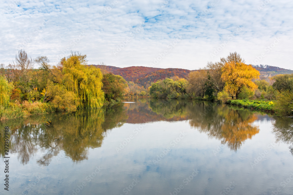 calm water surface of the mountain river in autumn. wonderful carpathian landscape on an overcast day. trees in colorful foliage on the shore. clouds and plants reflection