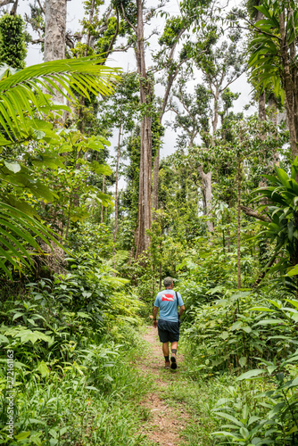  Syndicate Nature Trail Views around the caribbean island of Dominica West indies