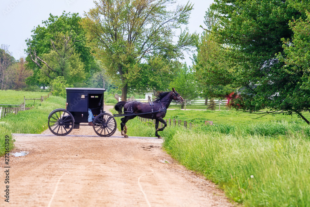 Amish Buggy at Crossroads