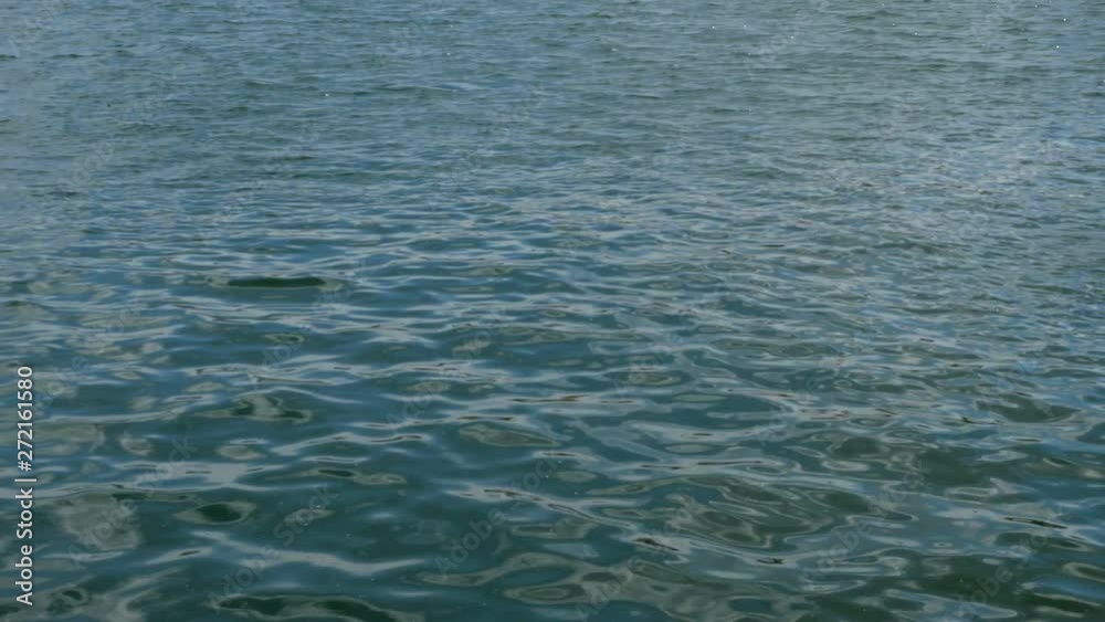 Calm sea wave with ripples running in Black sea. Sun reflection. Natural marine background. Close-up. Calm sea wave with ripples running in Black sea. Sun reflection. Natural marine background. Close-up.