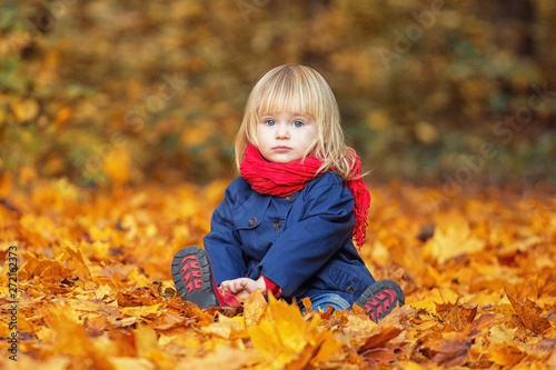 Autumn girl sitting in an autumn park. She looks at the viewer. Copy space.