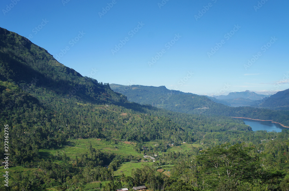 Mountain green landscape with beautiful views of the tropical island of Sri Lanka in summer.