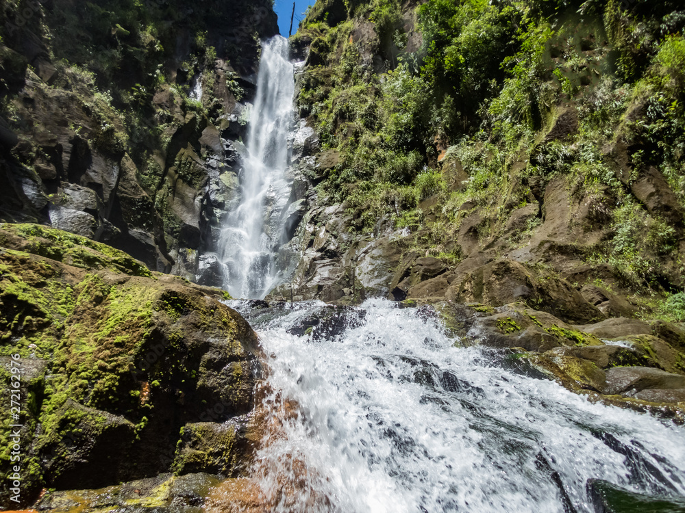 Fototapeta premium Trafalgar Falls Views around the caribbean island of Dominica West indies