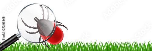 Vector realistic isolated ixodes tick warning flyer for template decoration and covering on the white background. Concept of mite danger, disease and encephalitis precaution.