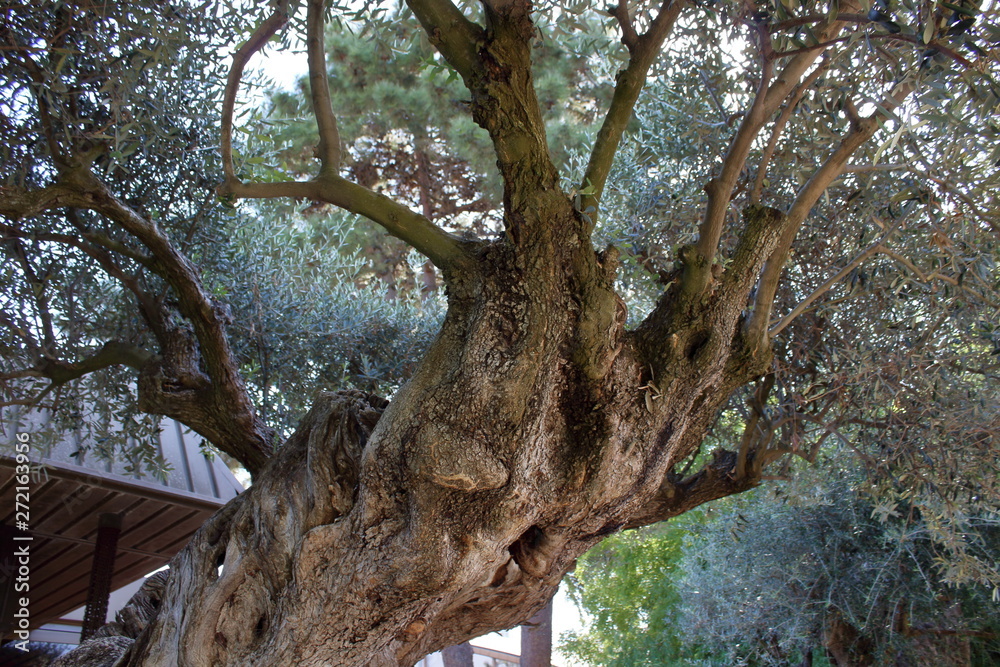 quinta da bacalhoa, azeitao, portugal quinta da bacalhoa, azeitao, portugal