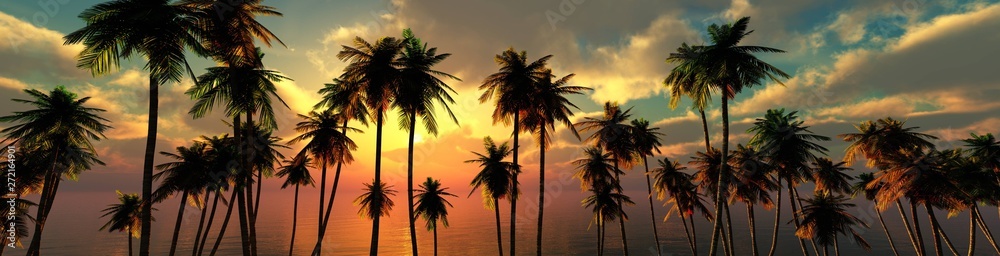 palm trees at sunset, panorama of the beach with palm trees at sunrise - obrazy, fototapety, plakaty 