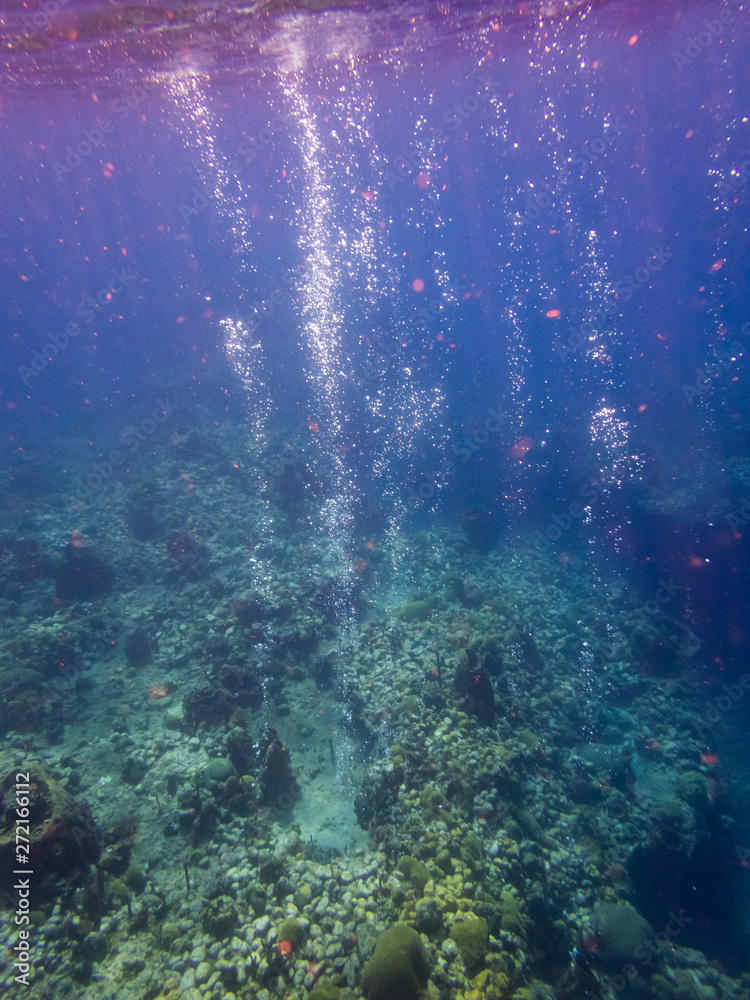 snorkelling Views around the caribbean island of Dominica West indies