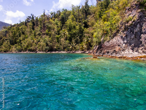 snorkelling Views around the caribbean island of Dominica West indies © Gail Johnson
