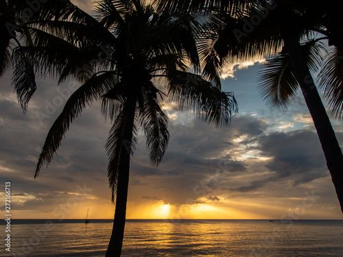  Views around the caribbean island of Dominica West indies